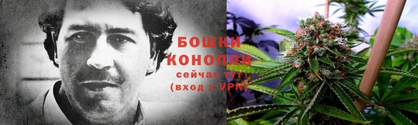 ПСИЛОЦИБИНОВЫЕ ГРИБЫ Кодинск