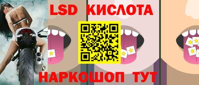 стаф Будённовск
