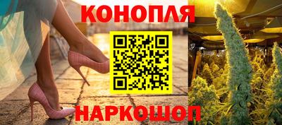 стаф Будённовск