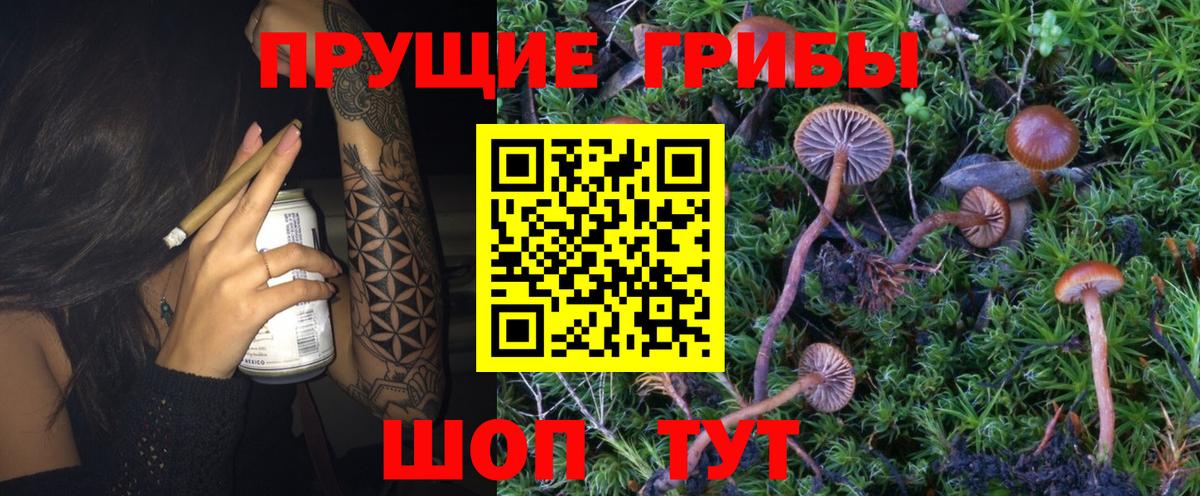 Екатеринбург  Псилоцибиновые грибы MAGIC MUSHROOMS  Вход с VPN 