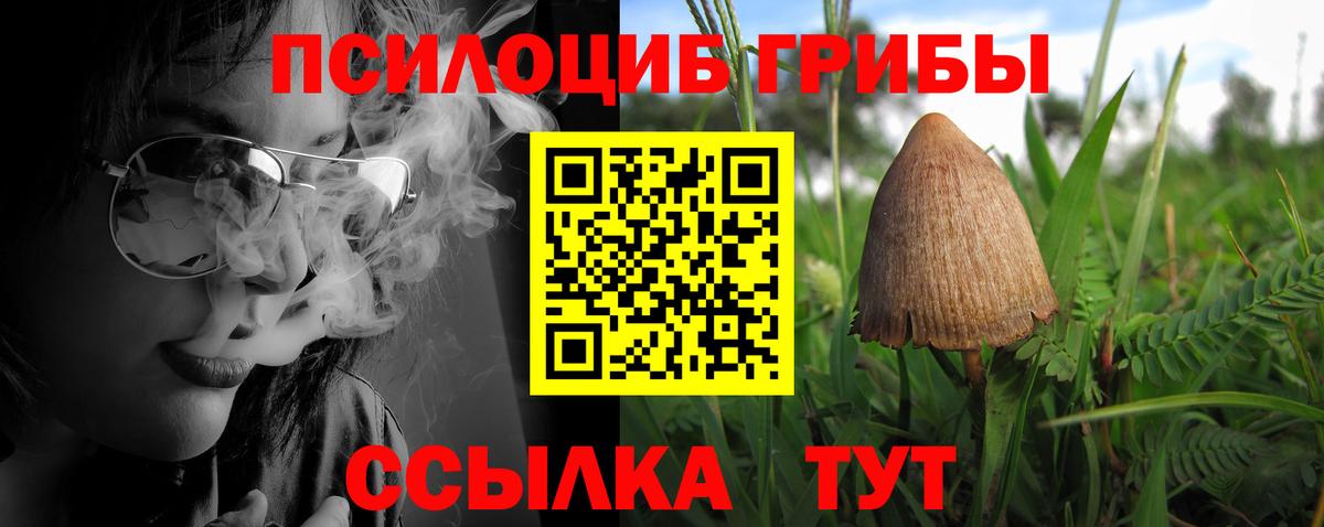 Галлюциногенные грибы GOLDEN TEACHER Екатеринбург